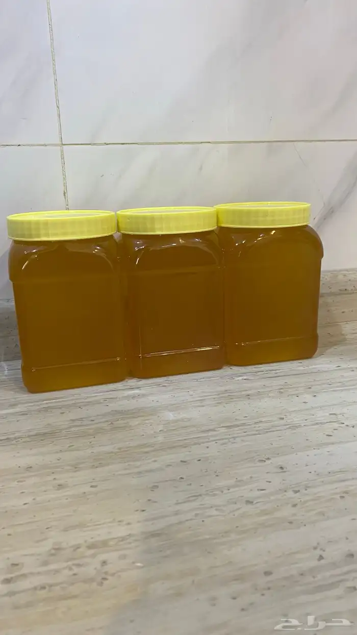 سمن غنم على الشرط 2