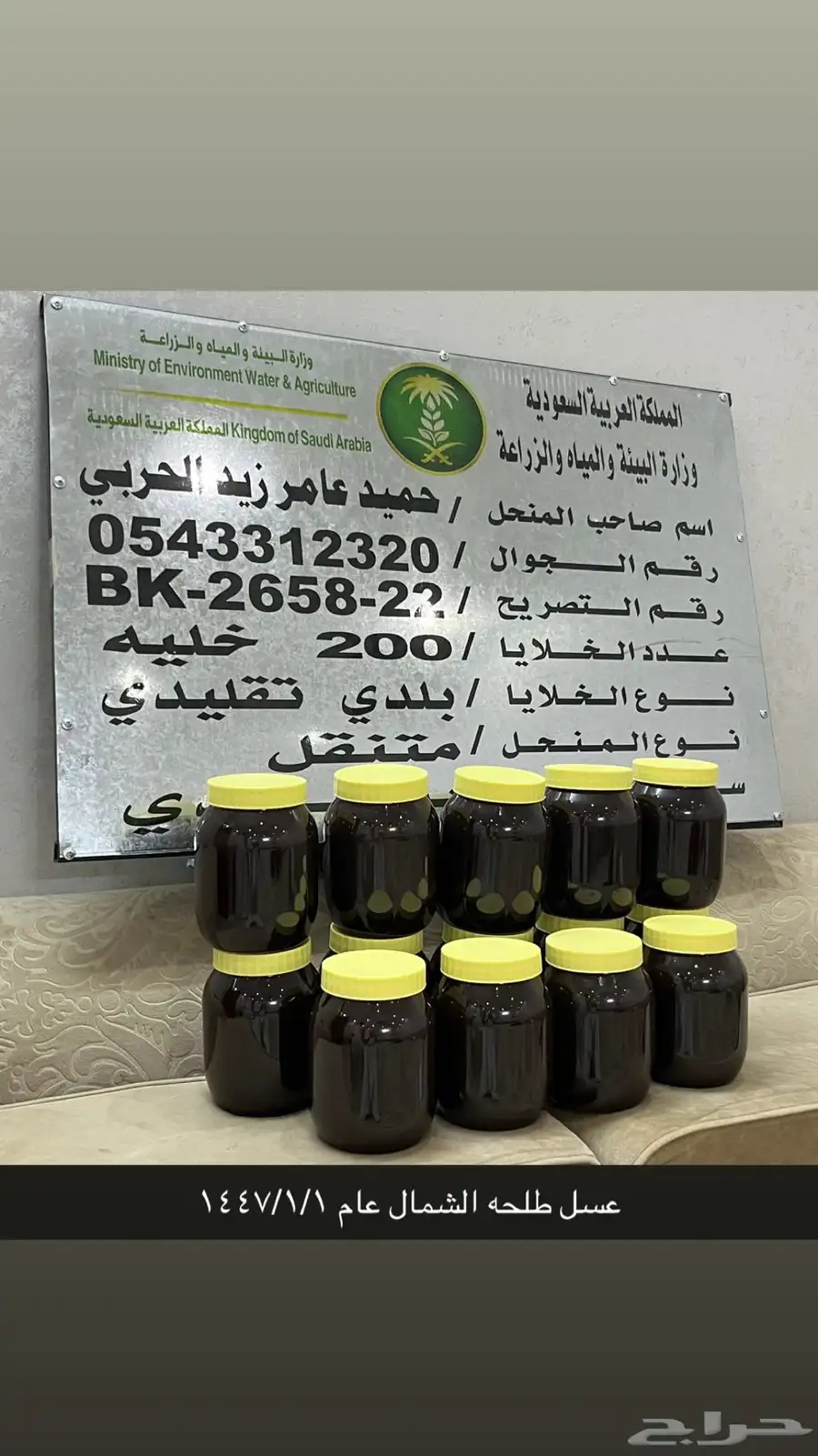 عسل طلحه الشمال عام 1447 1 1 مشرو ط صافي 6