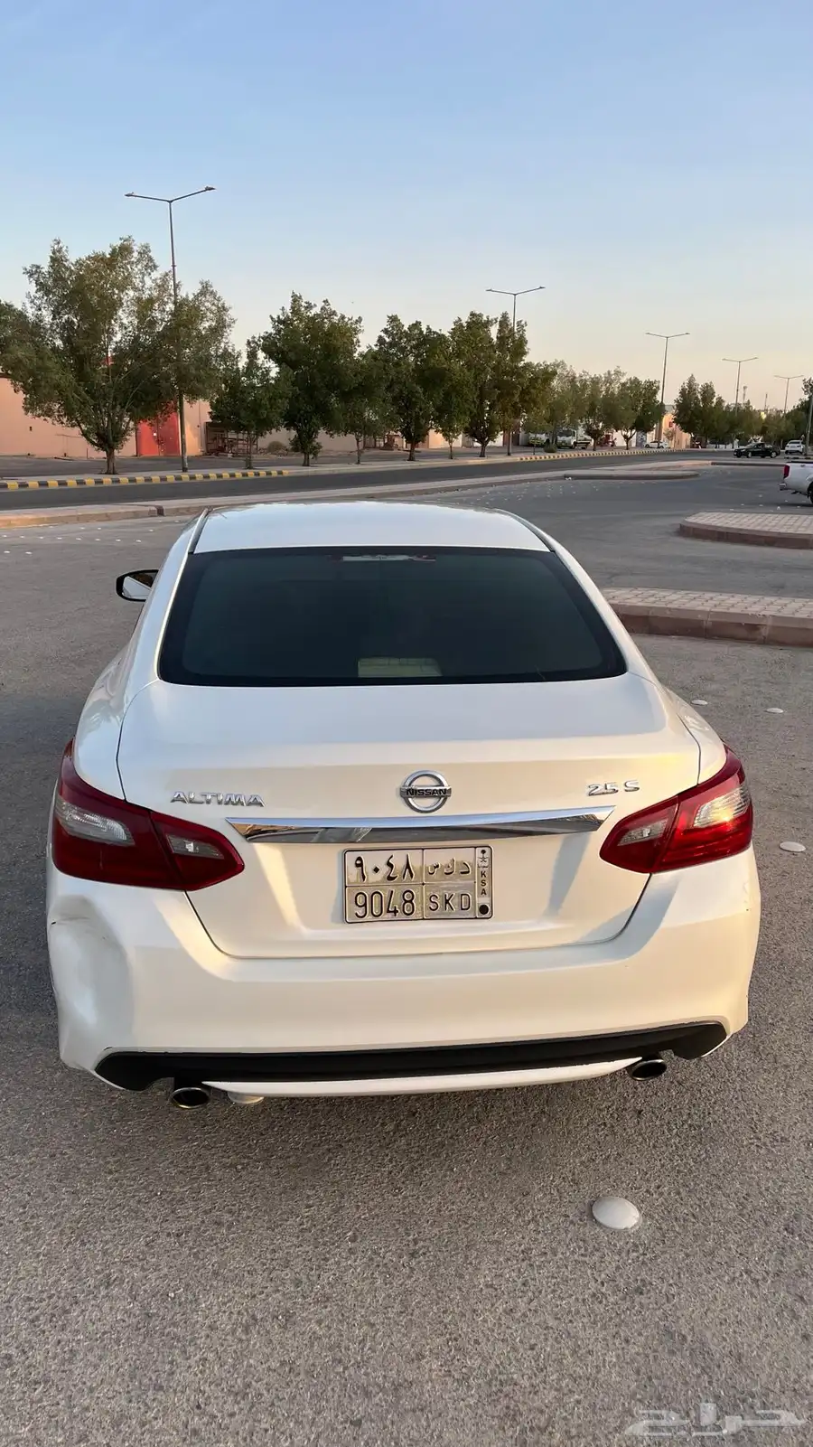 التيما 2018 3