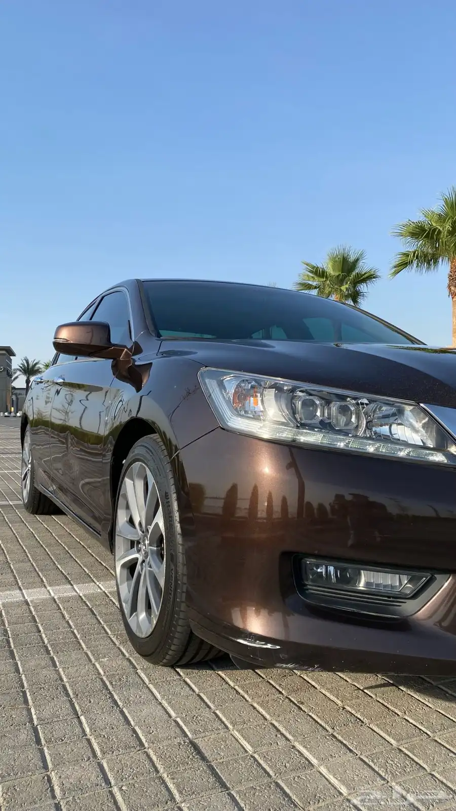 هوندا اكورد 2014 V6 1
