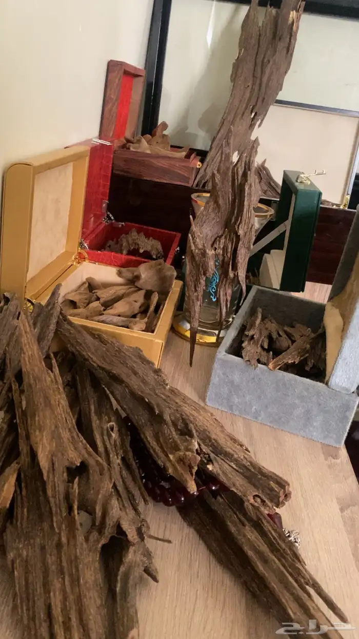 اجود وافخر انواع العود الهندي 4