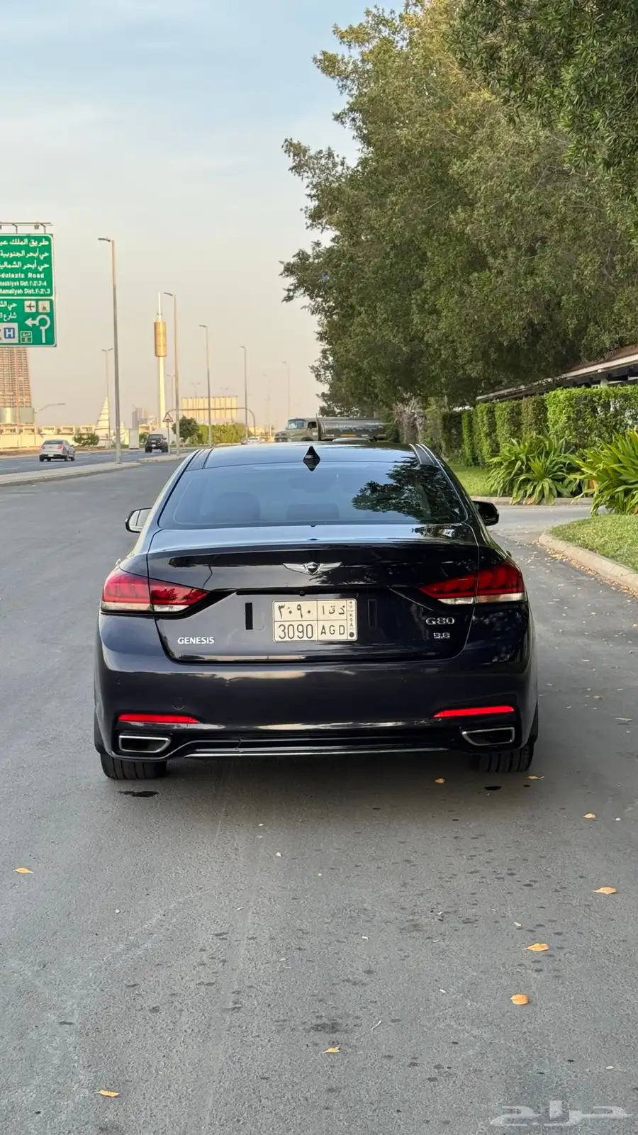 جنسس 2