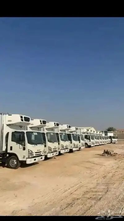 سيارت دينات ايسوزو تبريد وتجميد للإيجار الشهري وسنوي 0