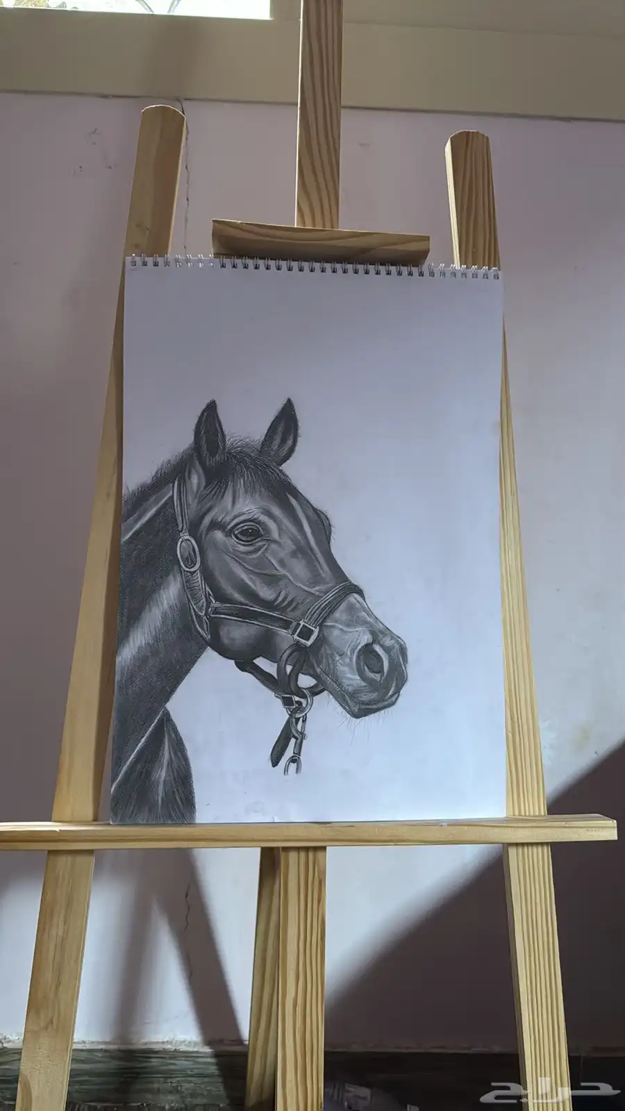 رسمه خيل 0