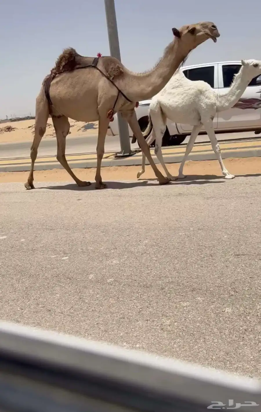 خلفه صفرا 1