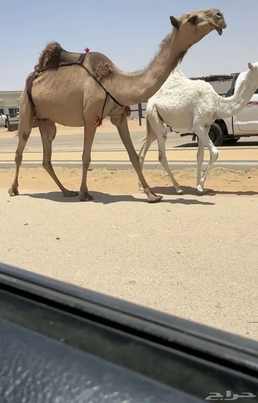 خلفه صفرا 0