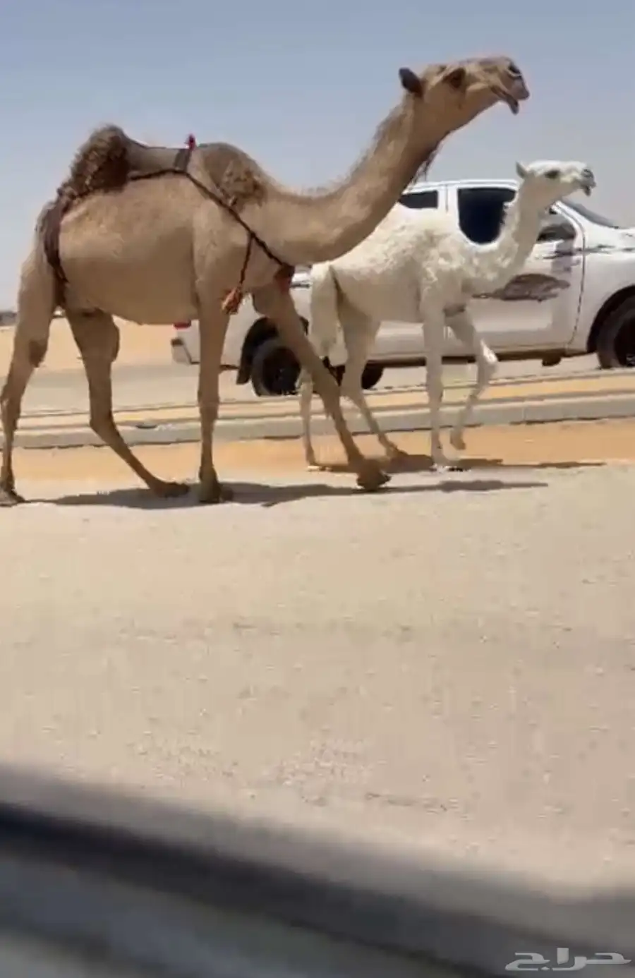 خلفه صفرا 3
