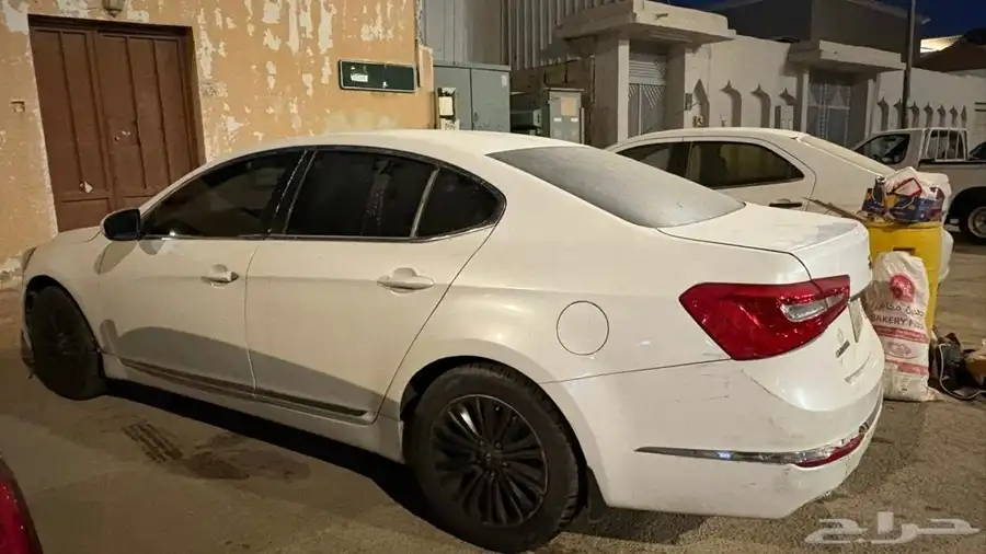 كادينزا 6
