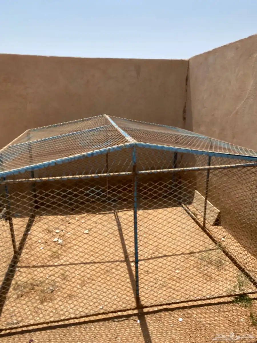 شبك للبيع 3
