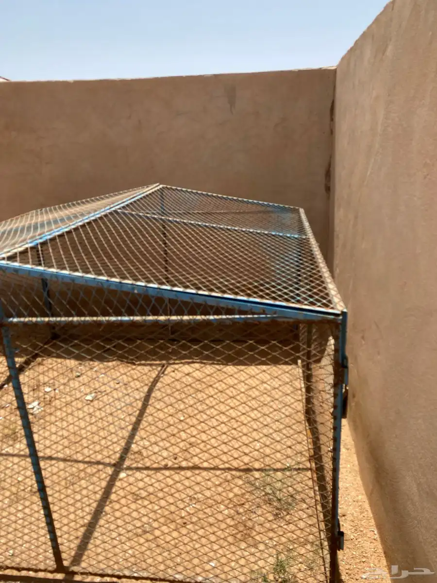 شبك للبيع 0