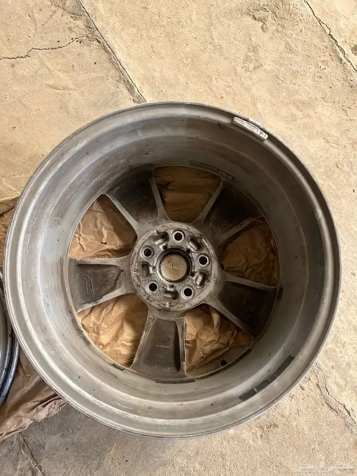 جنوط موستنق 2014 4