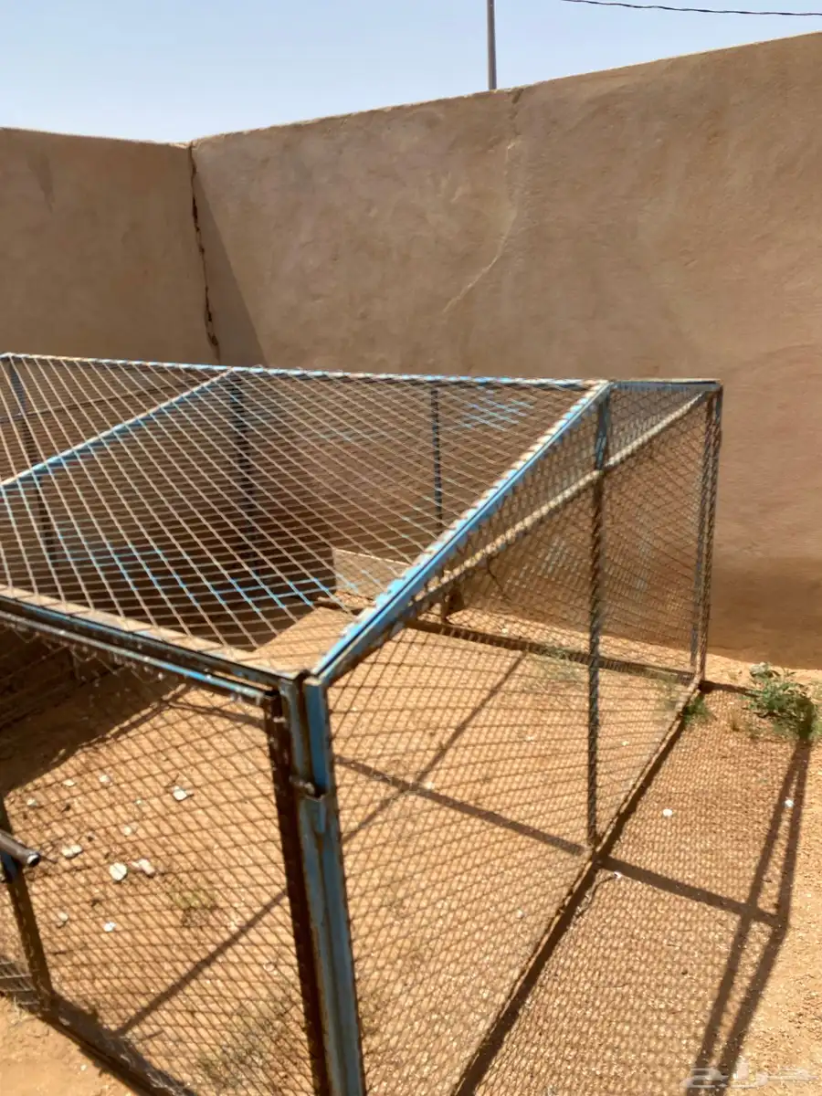 شبك للبيع 5