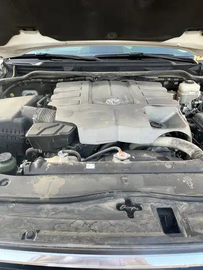 تورنق 2019 GXR 3 24