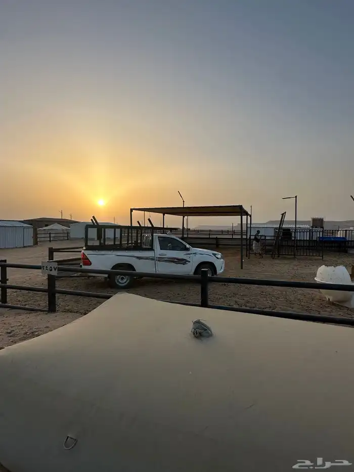 مضلات ابل 9
