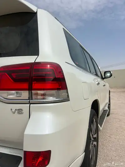 تورنق 2019 GXR 3 3