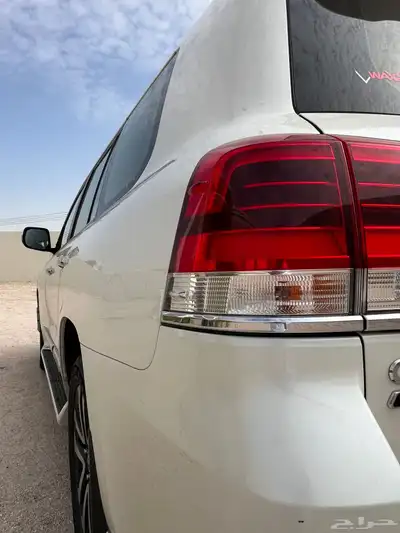 تورنق 2019 GXR 3 10
