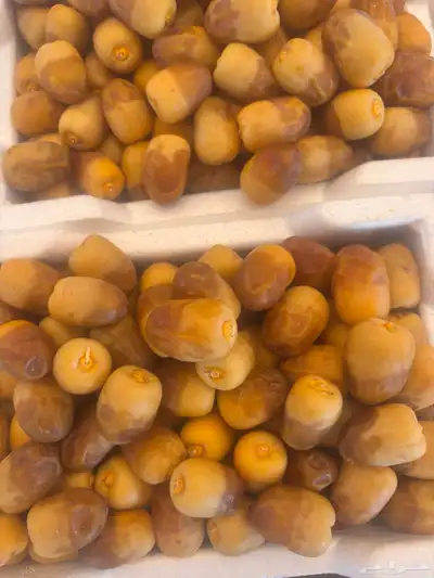 تمور المدينه الفاخره 0