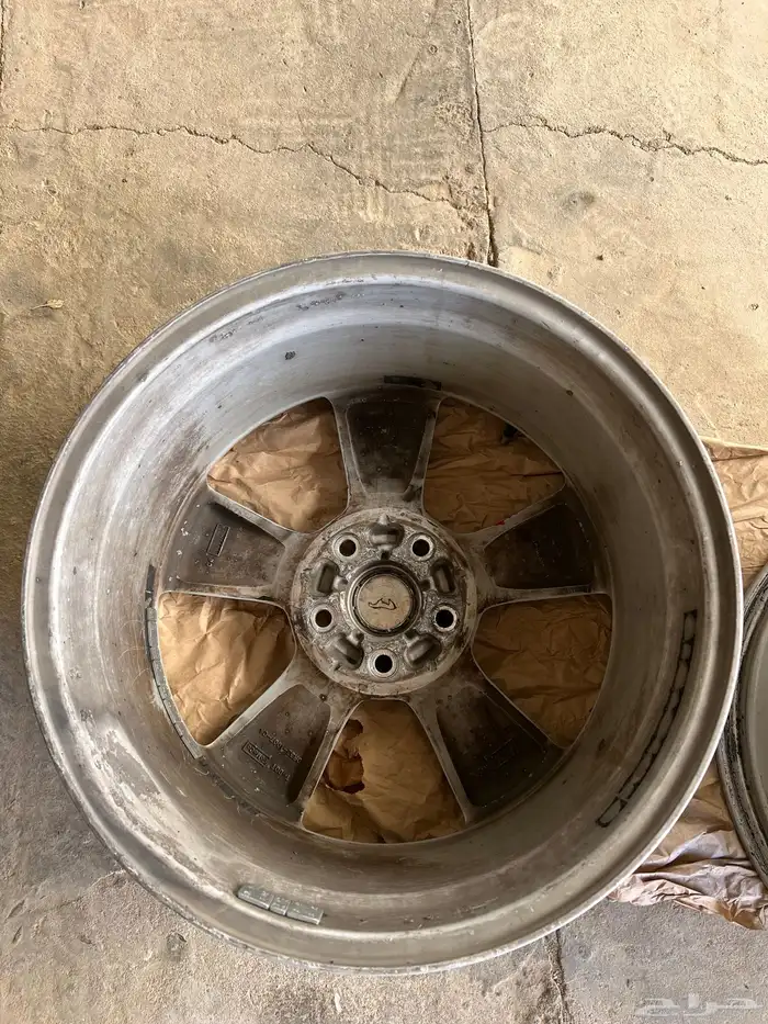 جنوط موستنق 2014 5