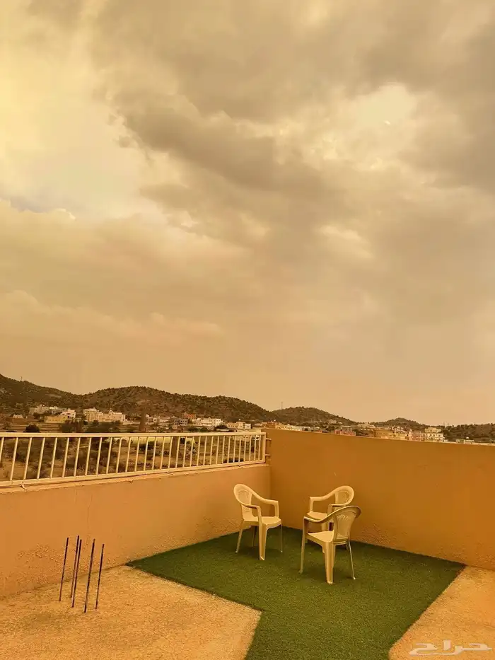بيوت وفلل وشقق للايجار الصيفي ابها الفرعاء المسقي 31