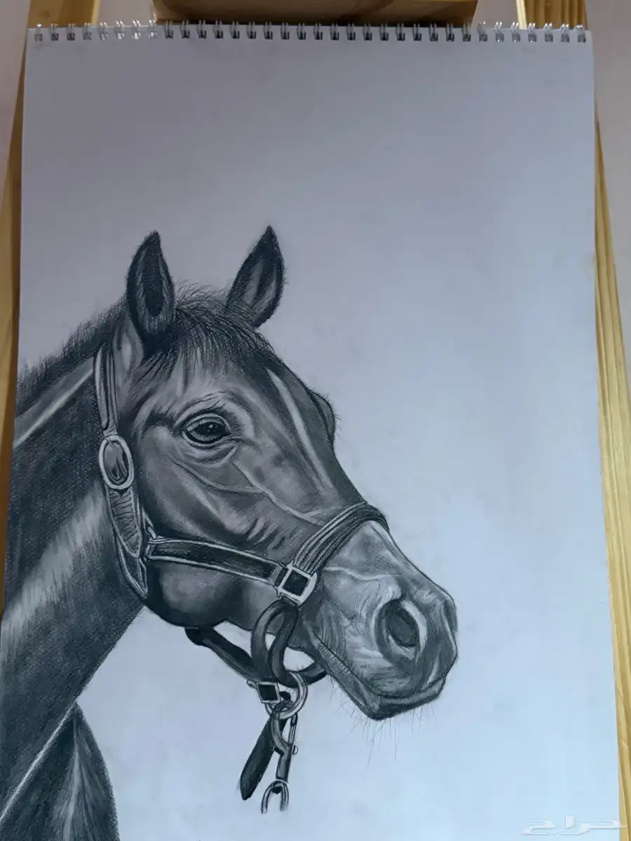 رسمه خيل 1