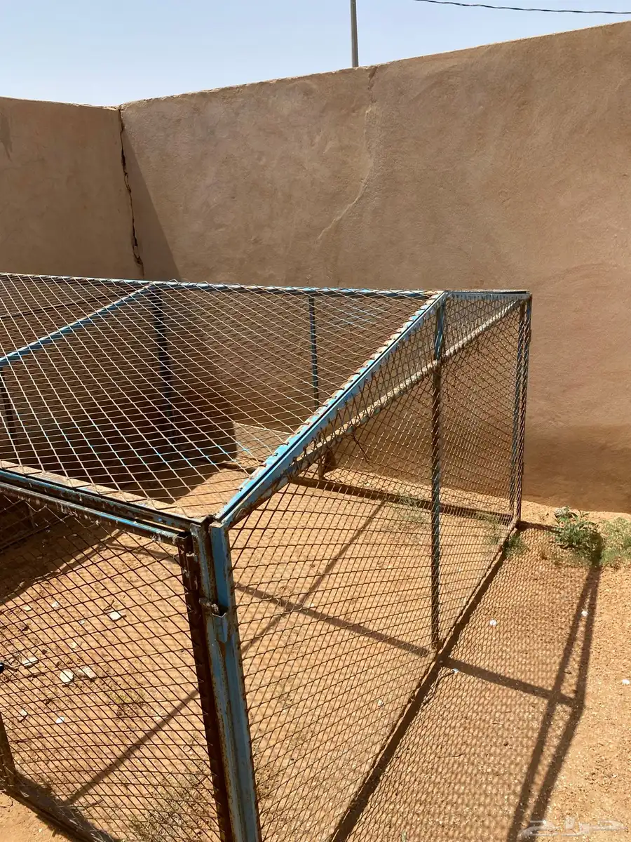 شبك للبيع 6