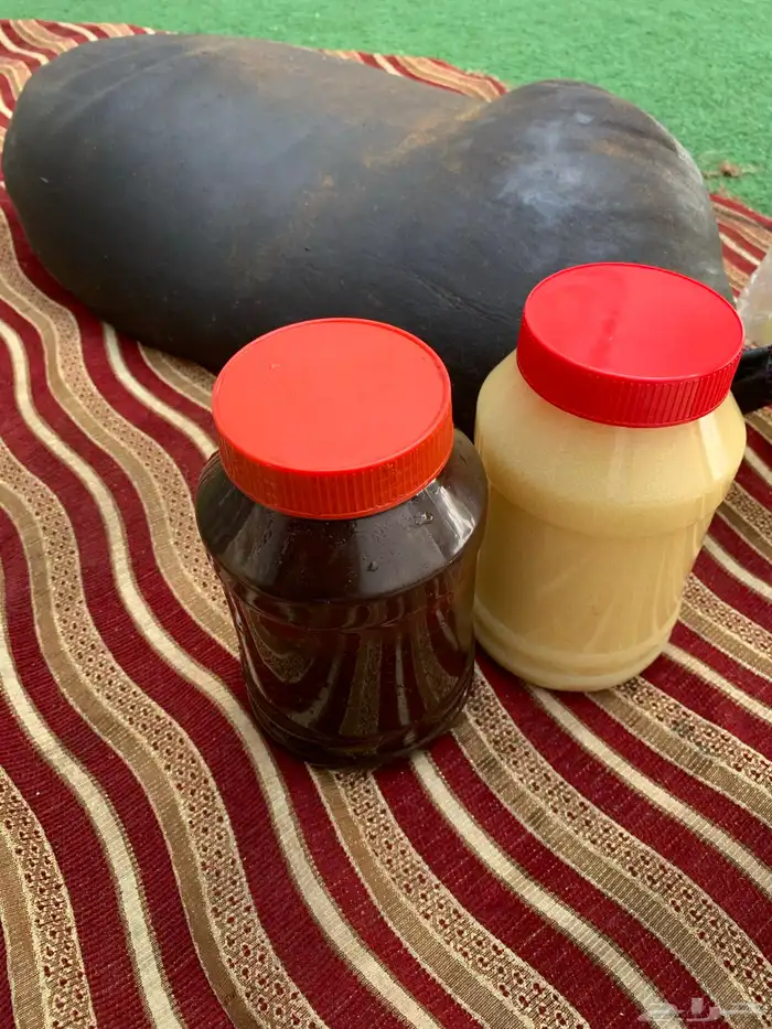 سمن غنم بري على شرط صافي بدون إضافات 2