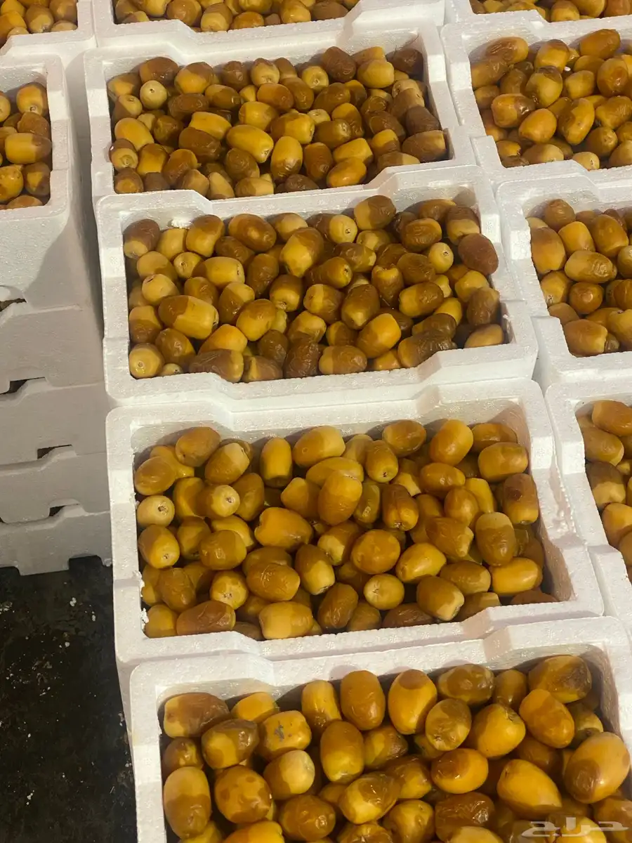 بيع الروثانه بالجملة مع التوصيل لمناطق المملكة 0