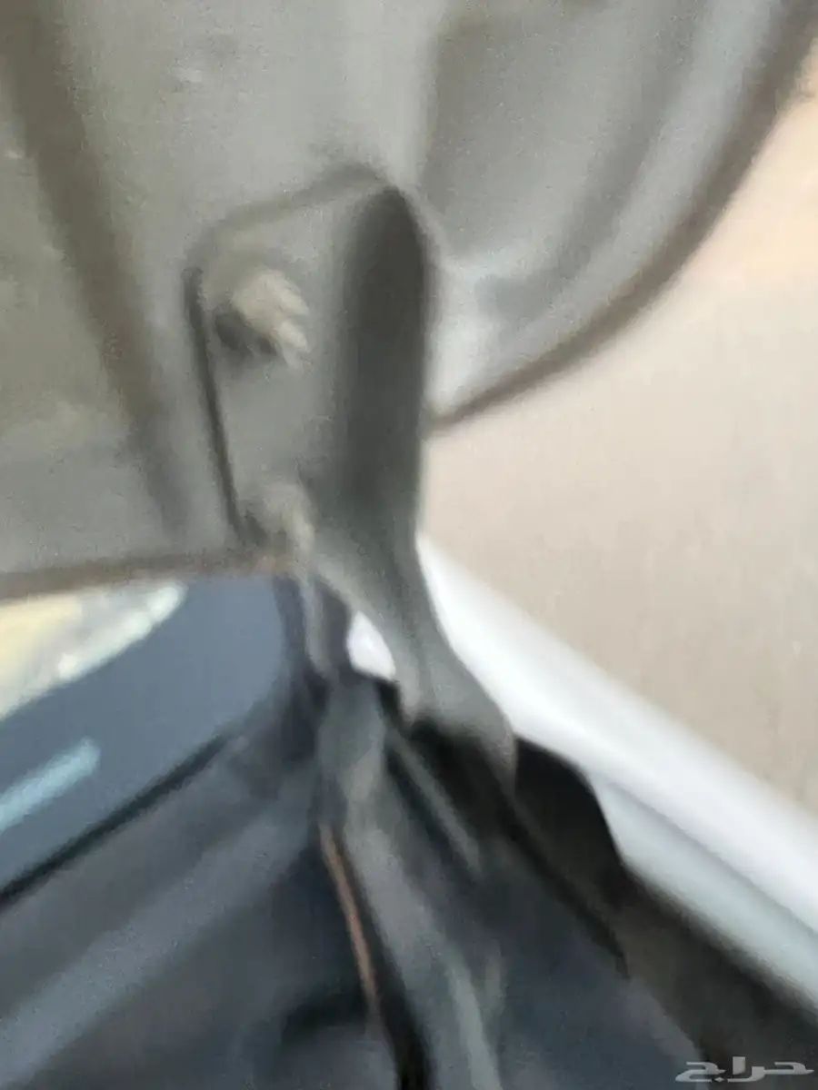 صني 2020 7