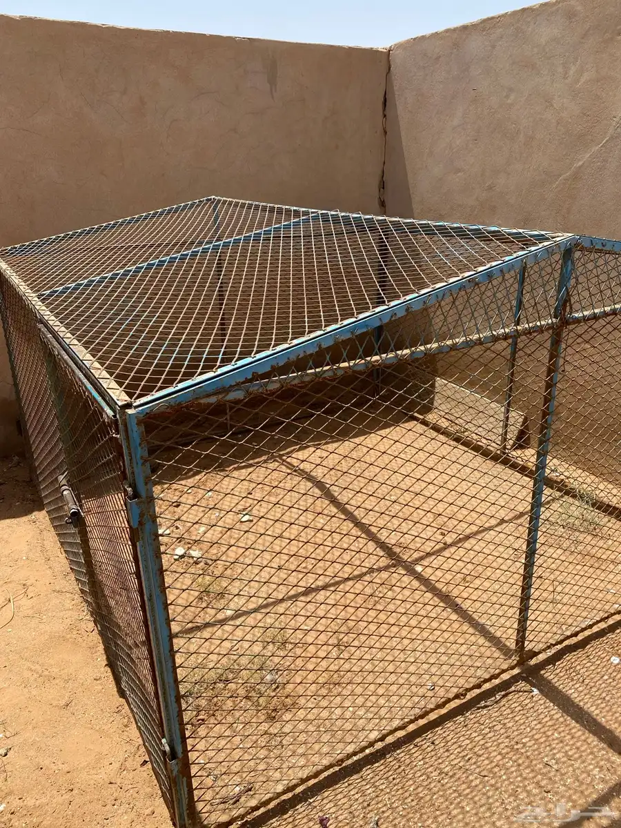 شبك للبيع 7