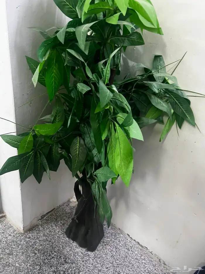 اغراض متنوعة 47