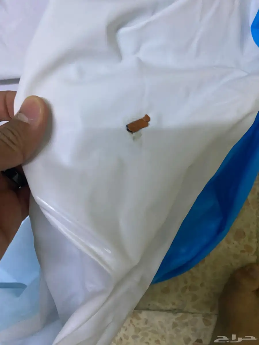 مسبح 2