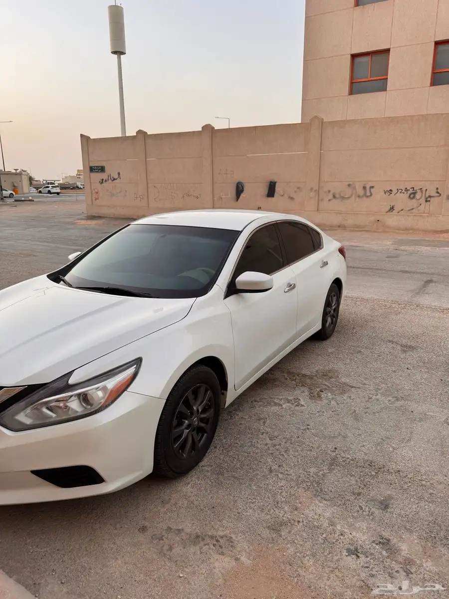 التيماء 2018 1