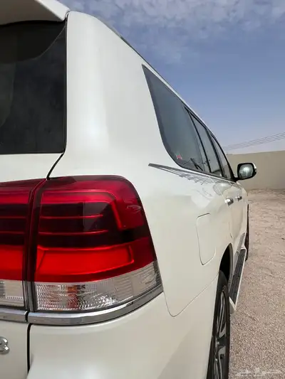 تورنق 2019 GXR 3 9