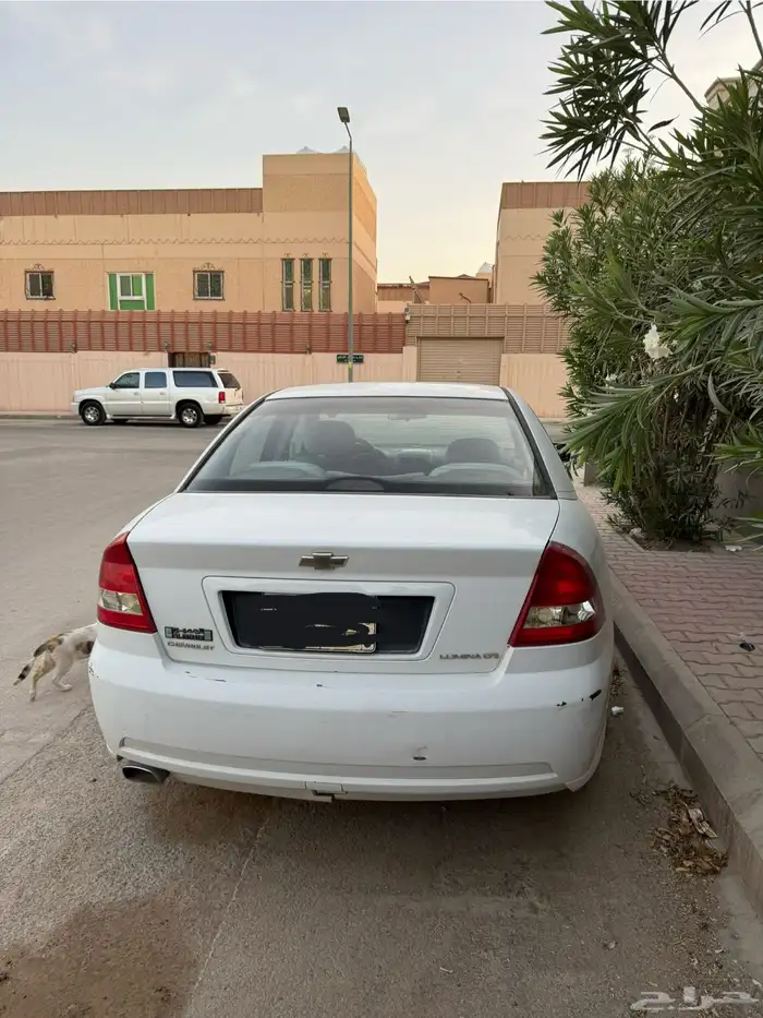 لومينا 2003 للبيع 6