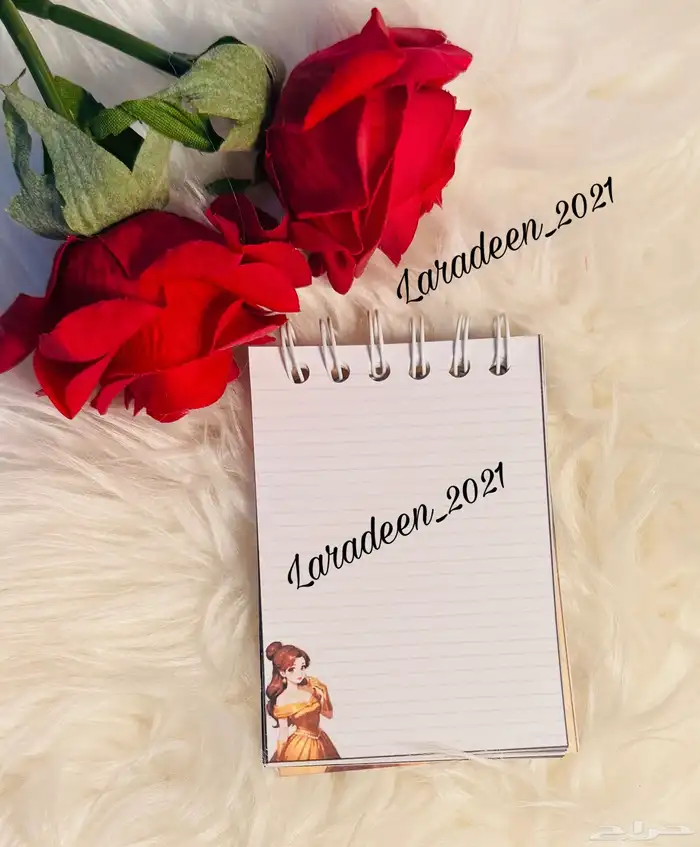 مذكرات صغيره بشخصيتك المفضله تميز بمذكرتك المفضله 2