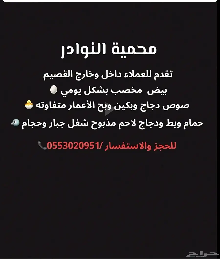 بيض حمام لاحم دواجن 0
