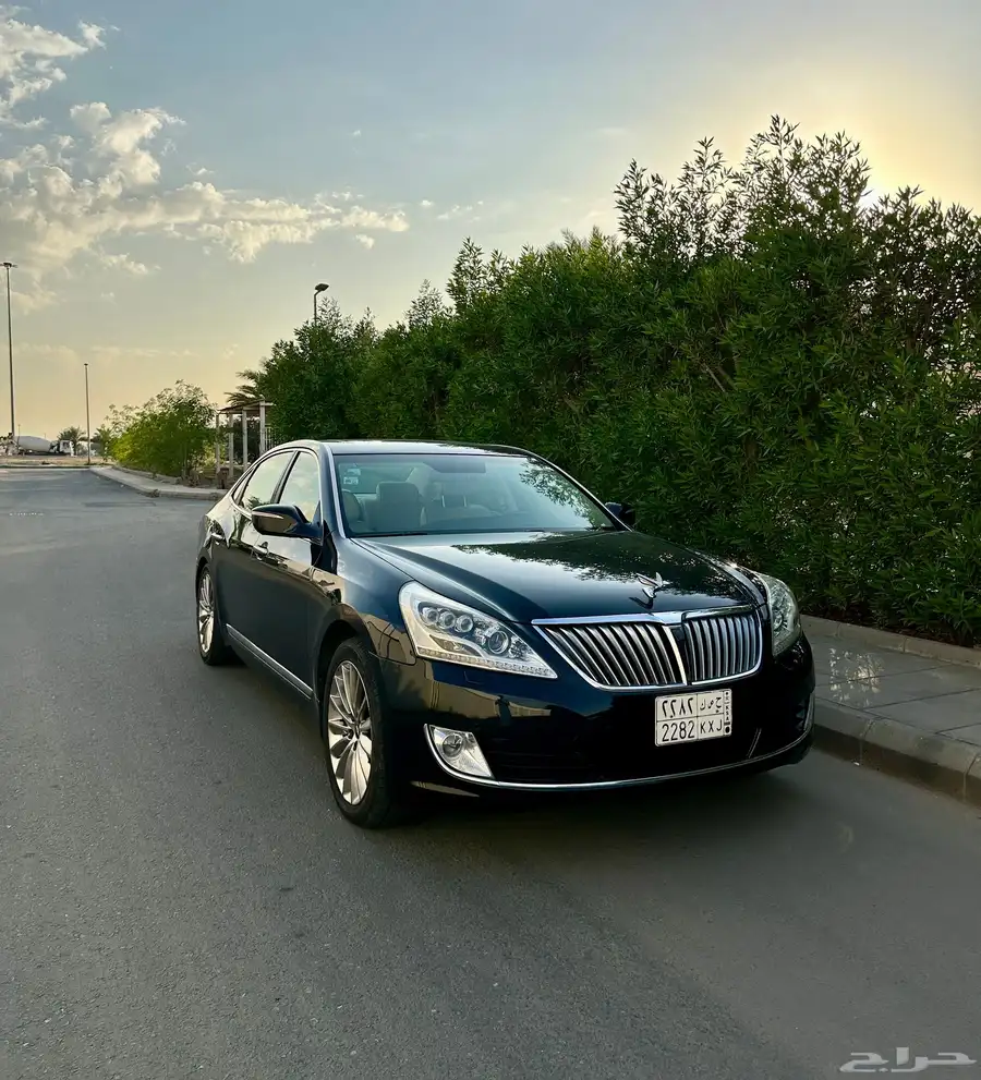 سنتنيال 2015 SV 500 6