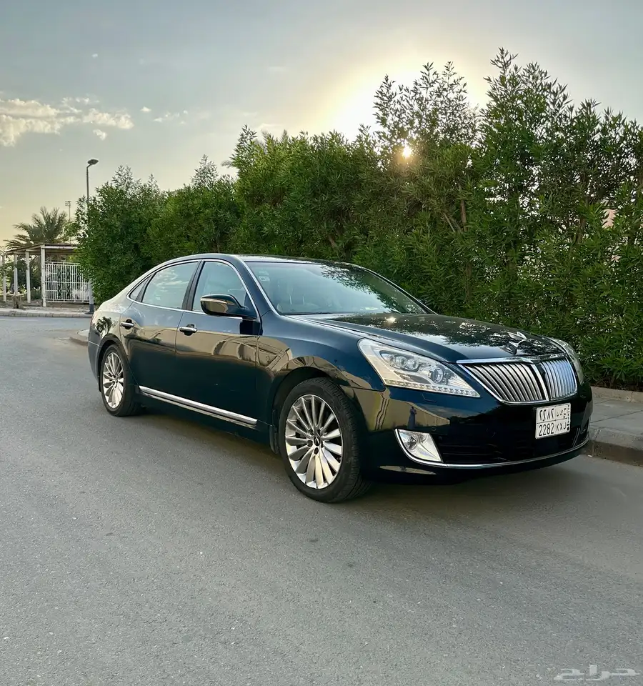سنتنيال 2015 SV 500 7