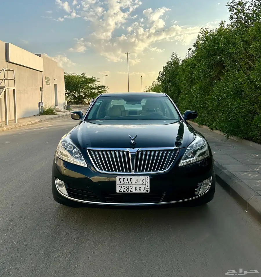 سنتنيال 2015 SV 500 5