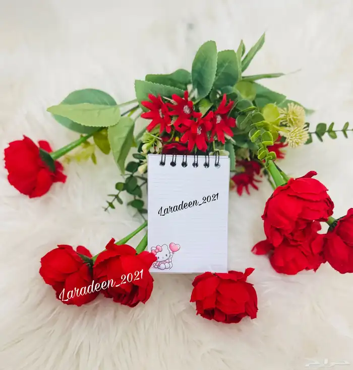 مذكرات صغيره بشخصيتك المفضله تميز بمذكرتك المفضله 44