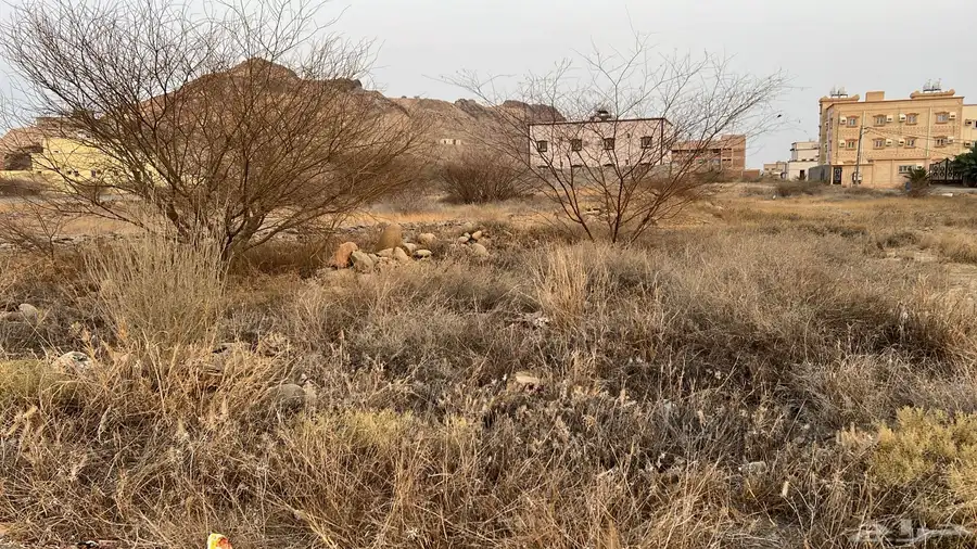 ارض للبيع مربه مخطط 729 3