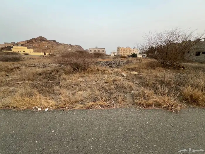 ارض للبيع مربه مخطط 729 0