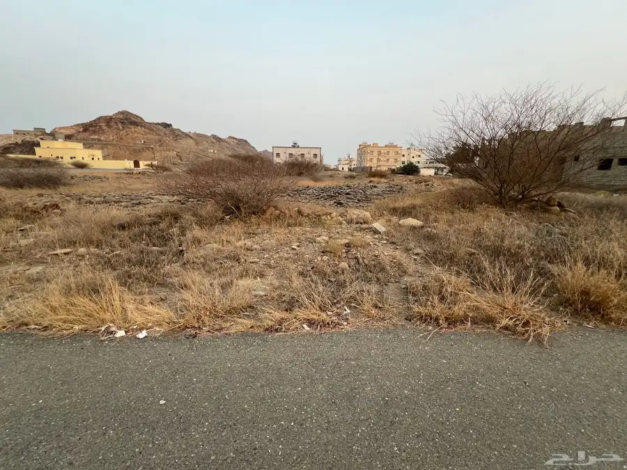 ارض للبيع مربه مخطط 729 0