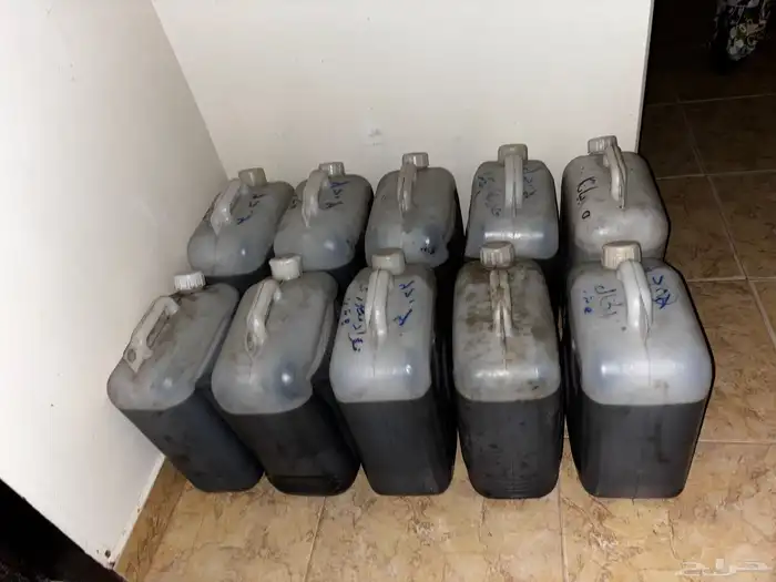 زيت زيتون الشام 1