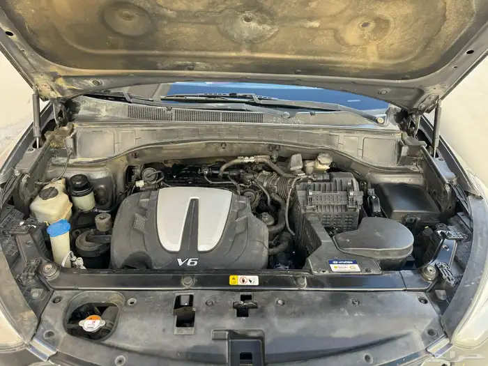 سنتافي 2014 14