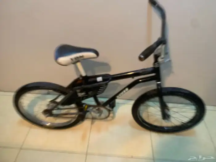 للبيع رامبو ب 120 قابل للتفاوض وكوبرا ب 250 قابل للتفاوض 2