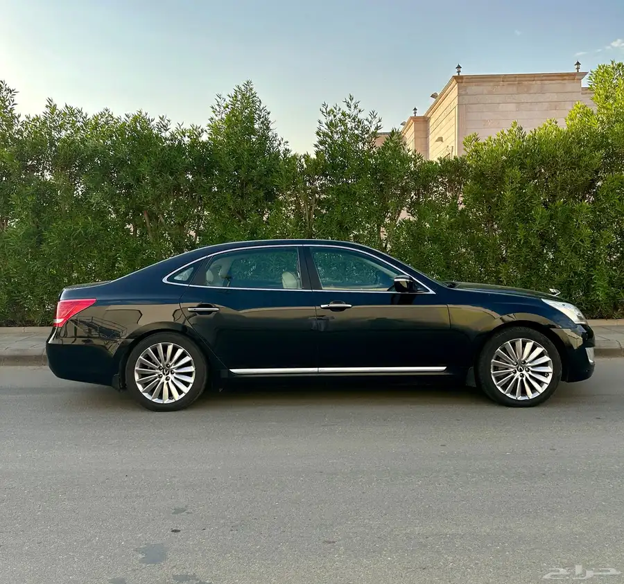 سنتنيال 2015 SV 500 8