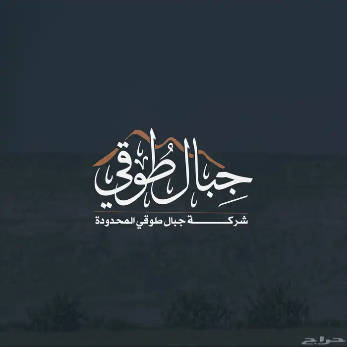 تصميم شعارات وهويات بصرية للمتاجر والشركات 0