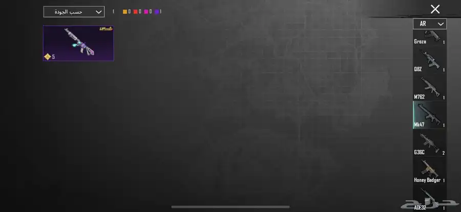 ببجي 13