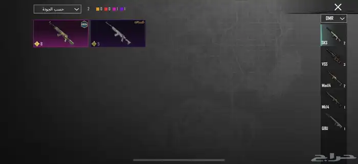 ببجي 15